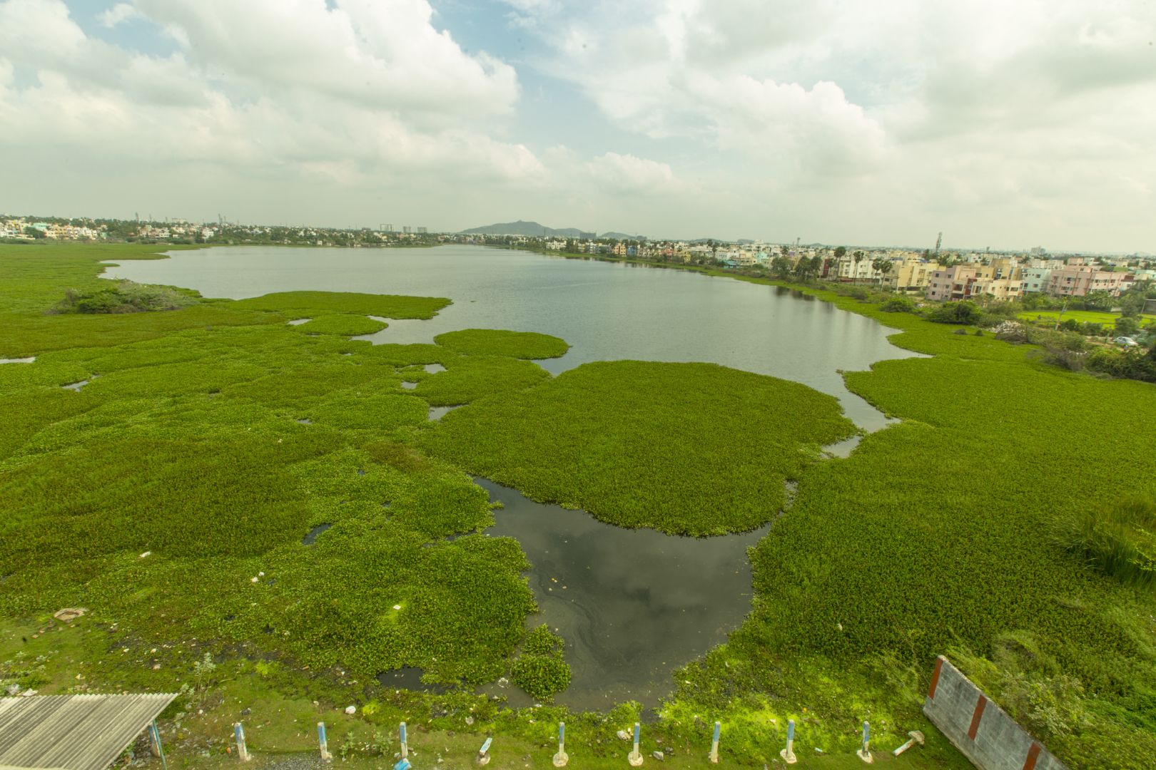 cognizant-and-grundfos-join-hands-to-restore-sembakkam-lake-architect