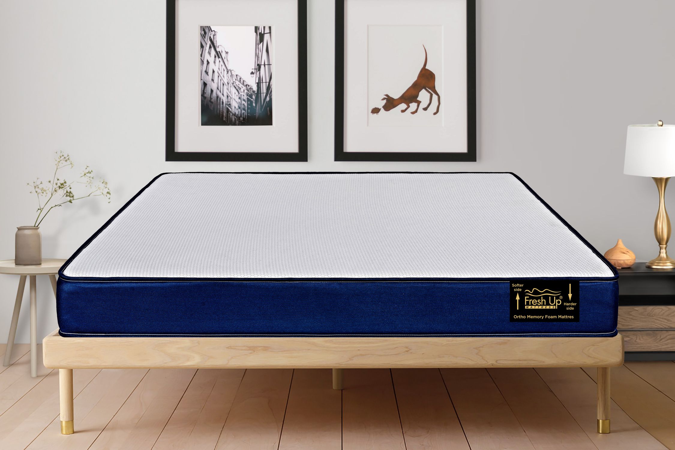 Fresh Up offers orthopedic mattress for back pain Architect and