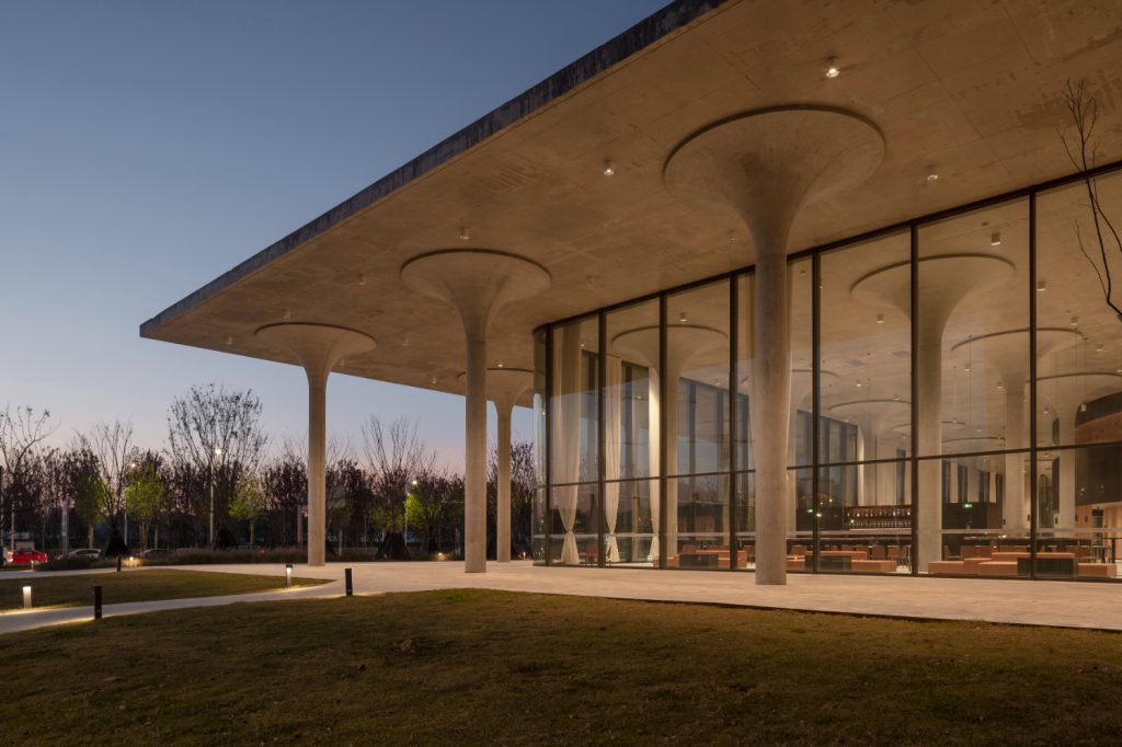 アート・デザイン・音楽 David Chipperfield : Essentials アート・デザイン・音楽 David Chipperfield : Essentials アート